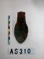 藏品(玳瑁匙)的圖片